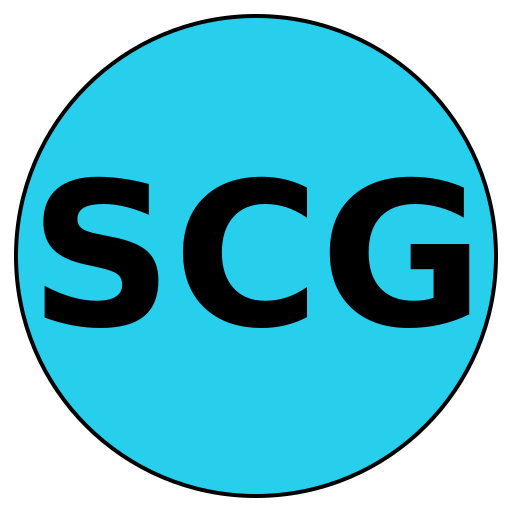 Savvy Career Guide